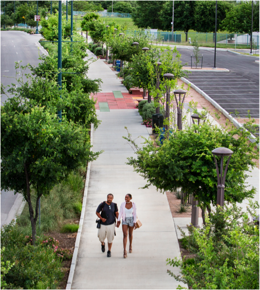 Two people waking on a tree lined street