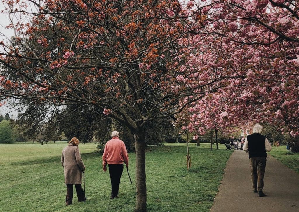 Several older folks walk in a park, socially distanced
